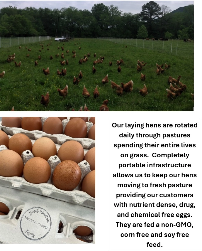 eggs-pasture-raised-no-corn-no-soy-no-flax