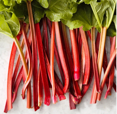 rhubarb-1
