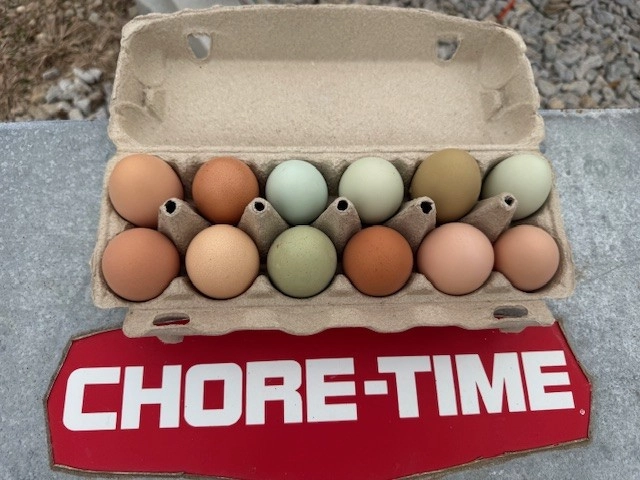 eggs-pasture-raisedcage-freelargeunwashedorganicnongmo