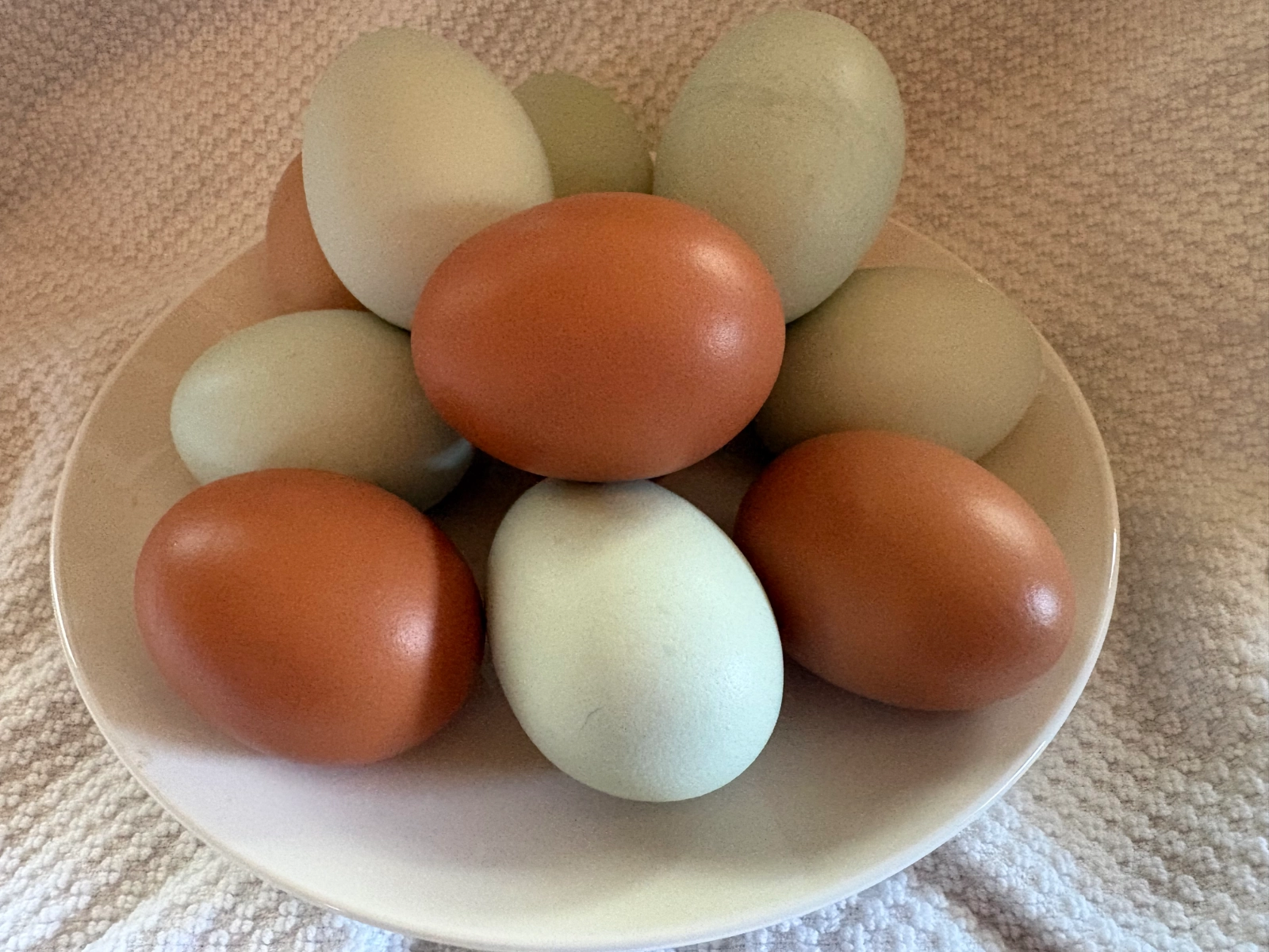 brown-and-green-nongmo-chicken-eggs