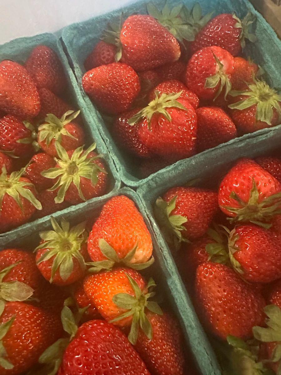strawberries-quart-2