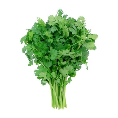 cilantro-bunch-13