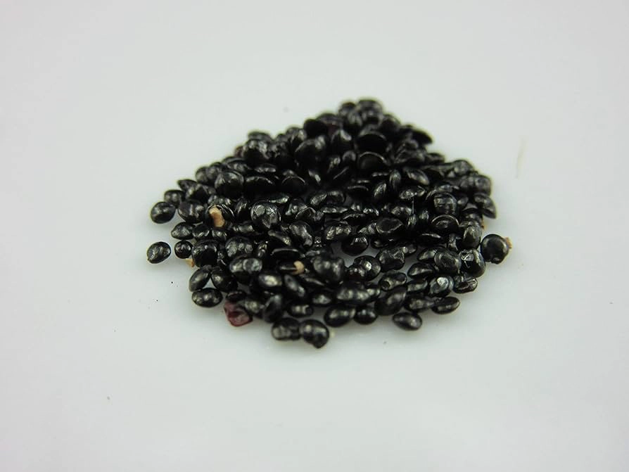 celosia-seed-packet-flamingo-feather-