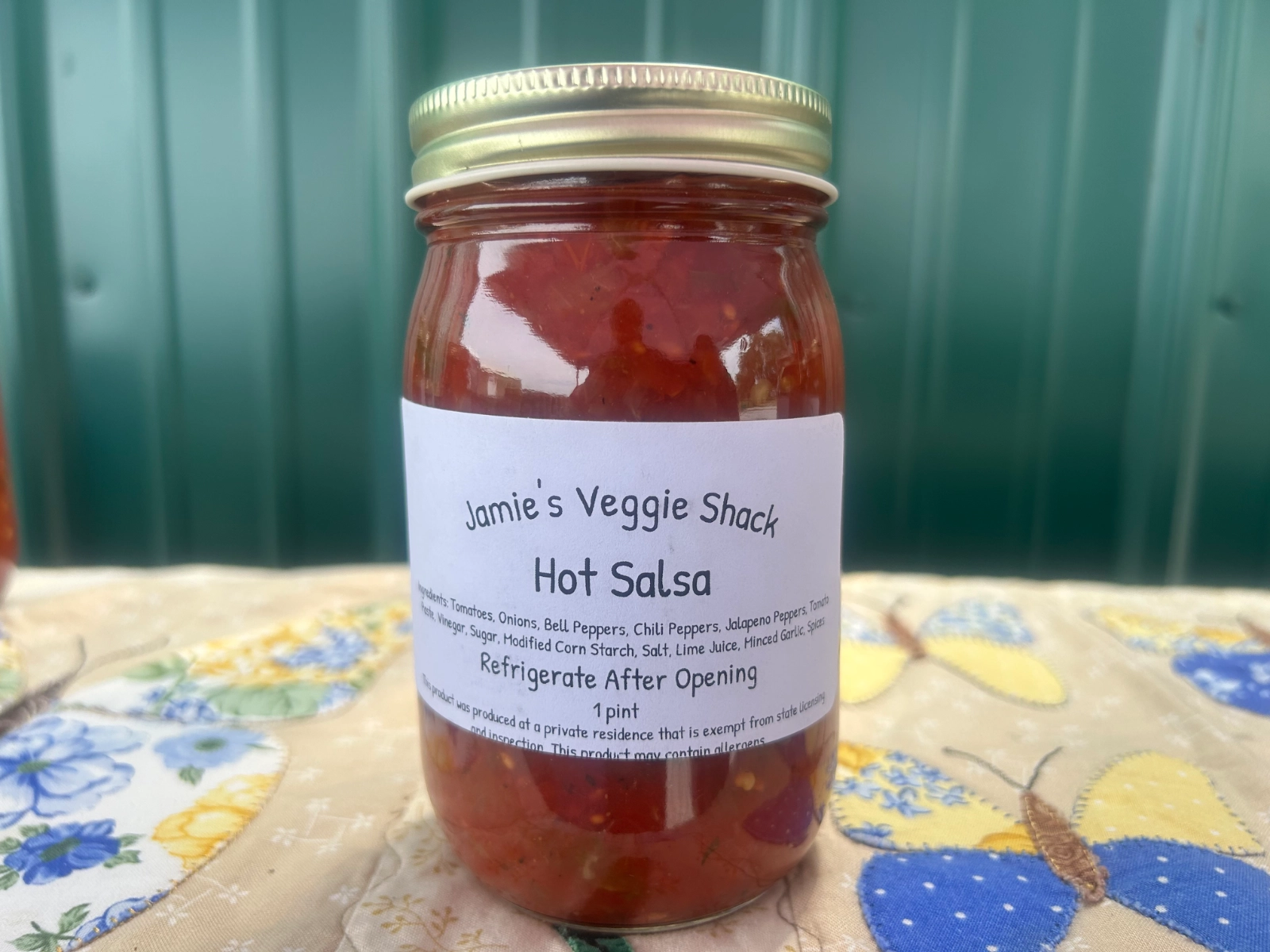 hot-salsa-12