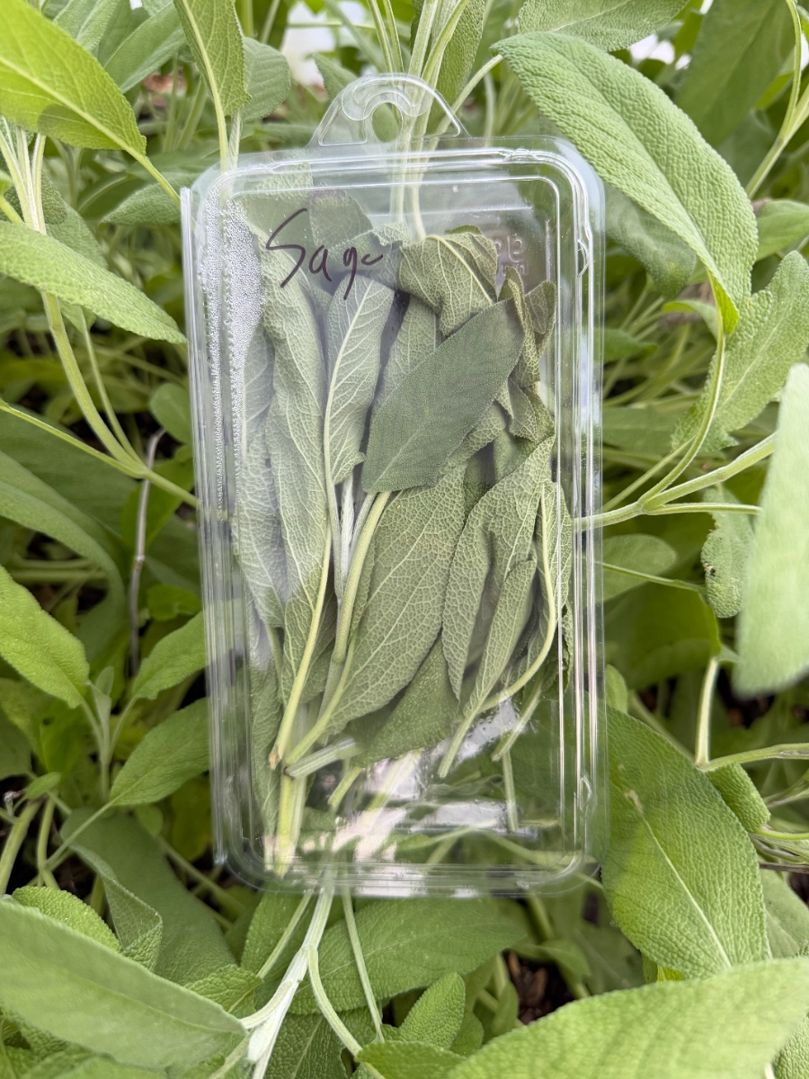 fresh-sage-1oz-compostable-pack