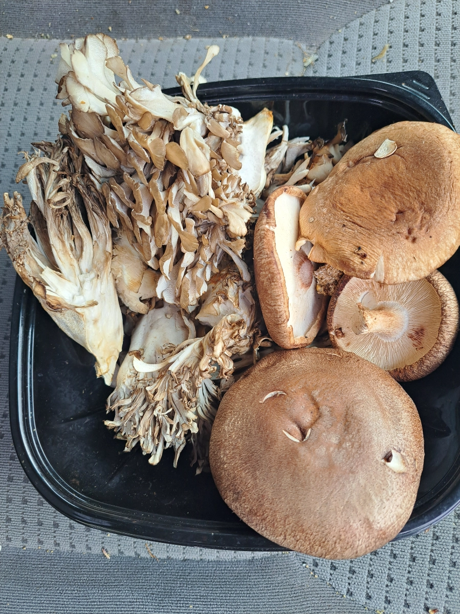 mix-forest-umami-duo-maitake-shiitake-8-oz