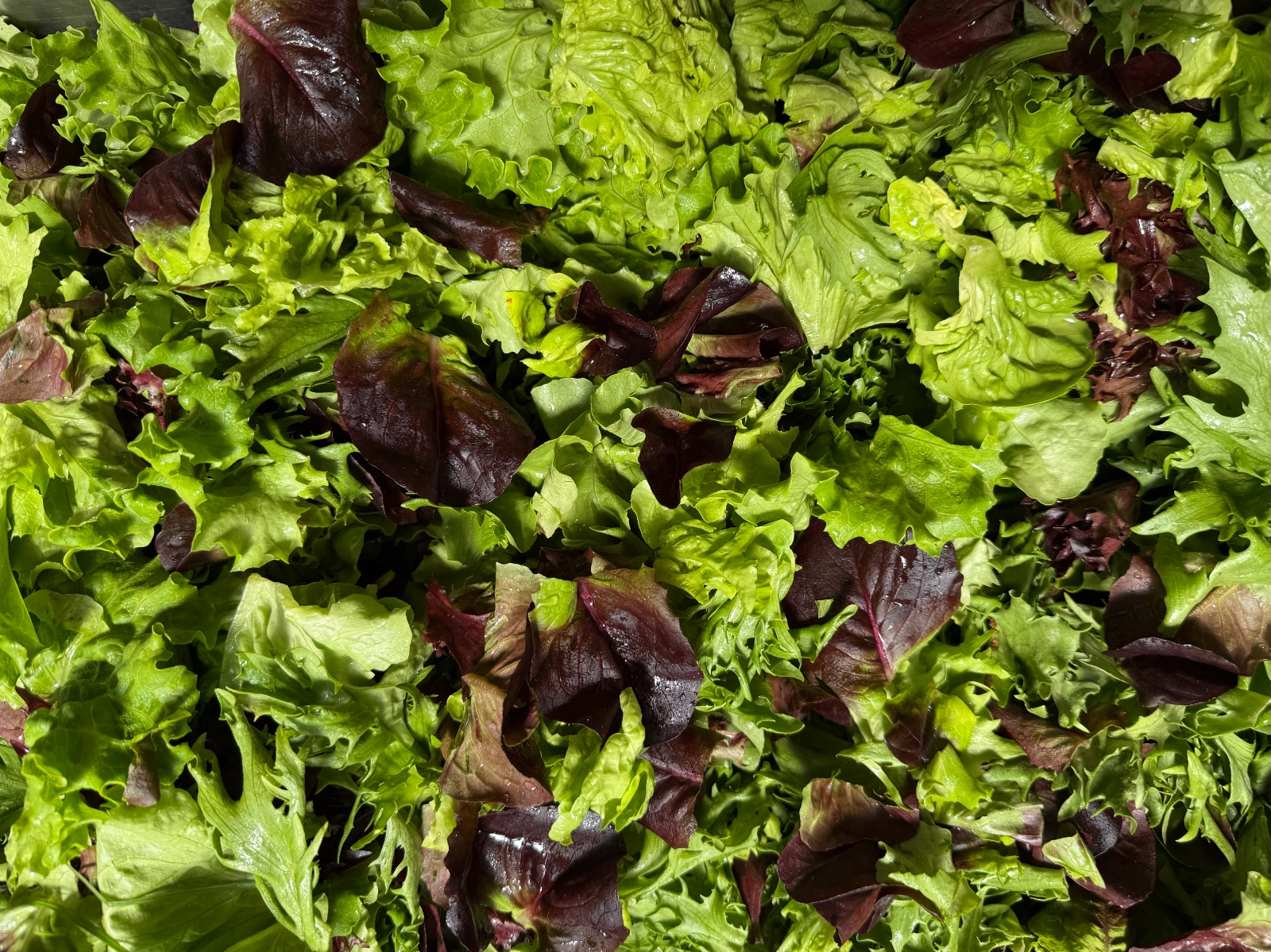 king-spring-salad-greens