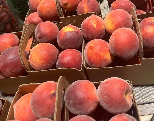 peaches-2-lbs-5
