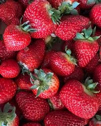 strawberries-1-lb-4