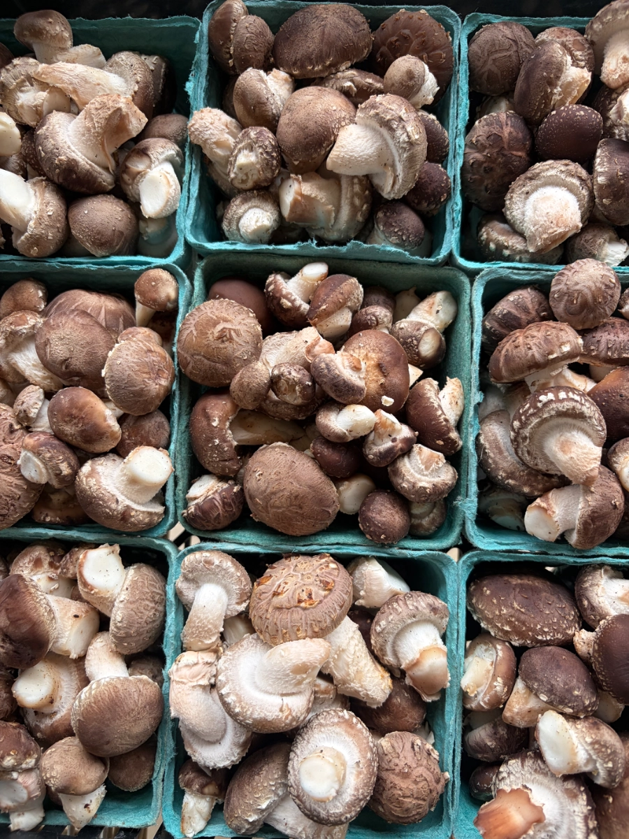 shiitake-mushrooms-5-oz-2