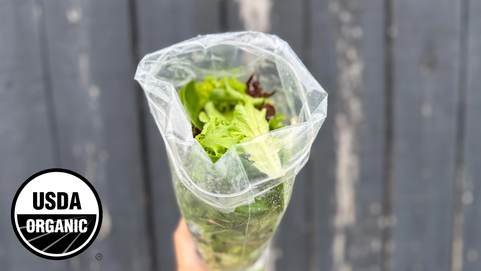 lettuce-mix-63