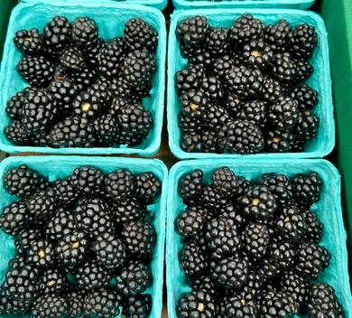 blackberries-12-pint-2