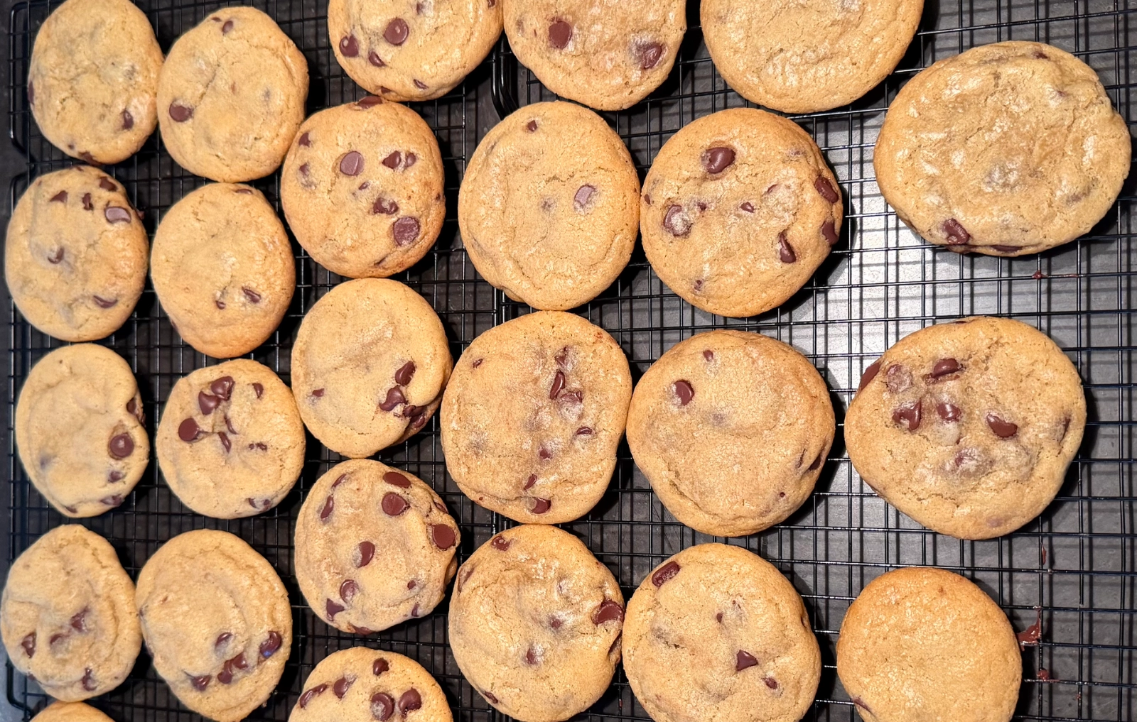 sourdough-chocolate-chip-cookies--2