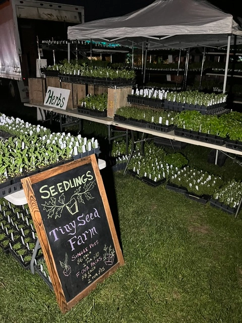 starts-the-gardeners-starter-pack-15-seedlings