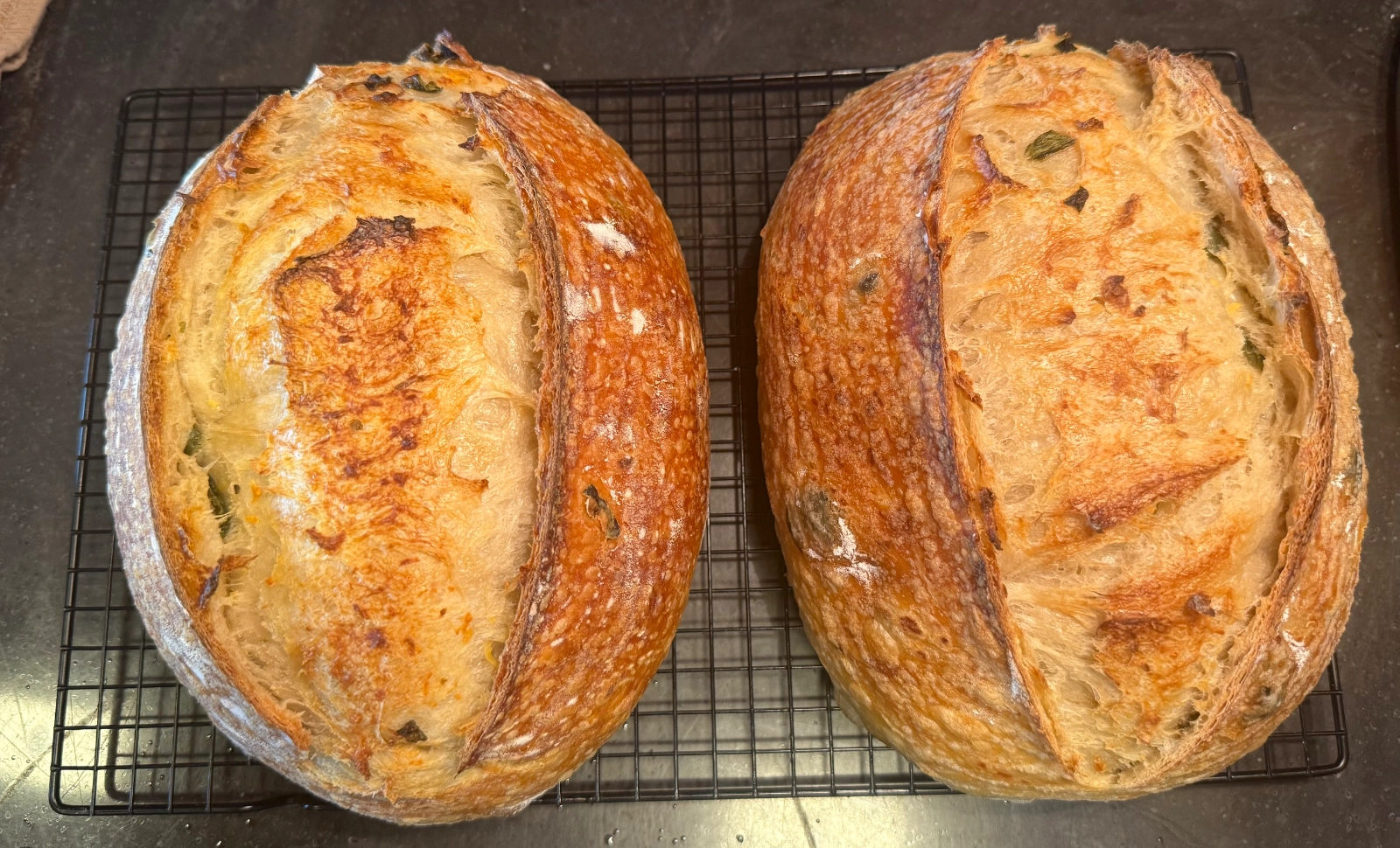jalapeo-cheddar-sourdough-loaf-6