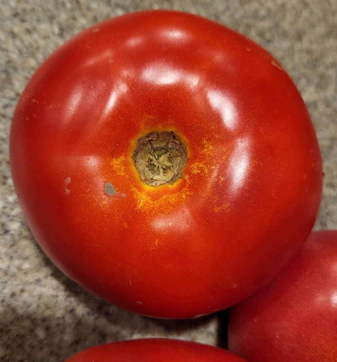 vine-ripened-tomatoes-est-1-lb