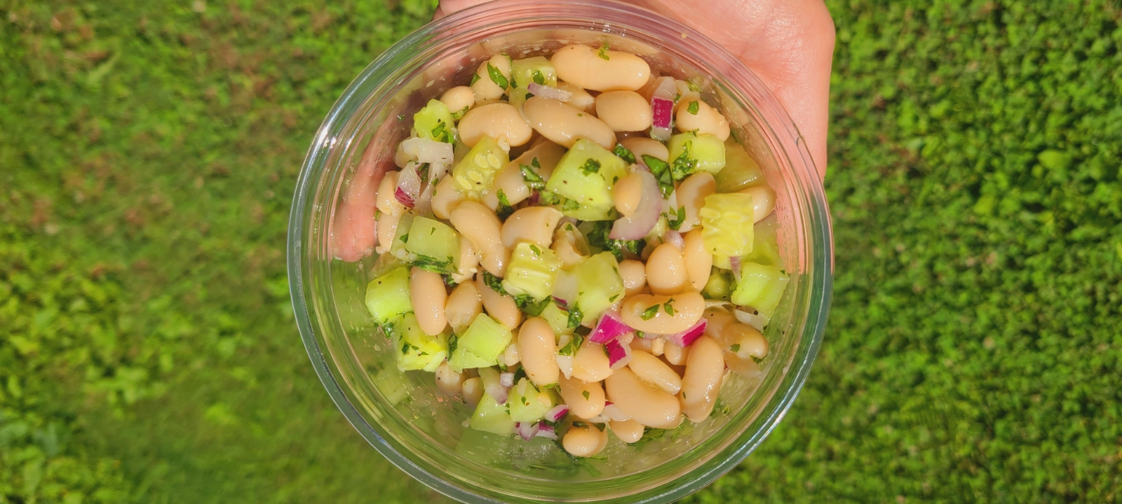 white-bean-basil-lemon-salad-proteinpacked-8-oz