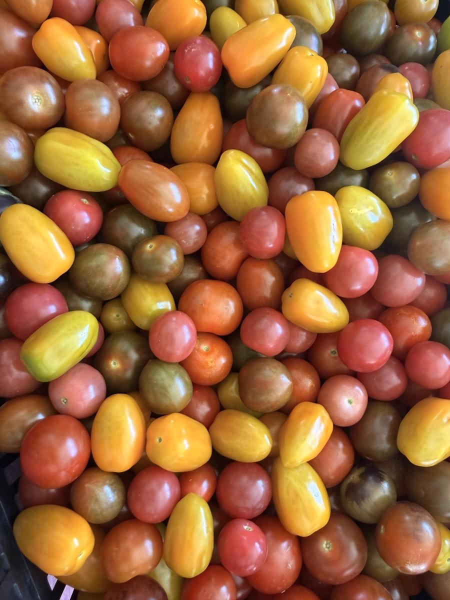 tomatoes-1-lb-approx