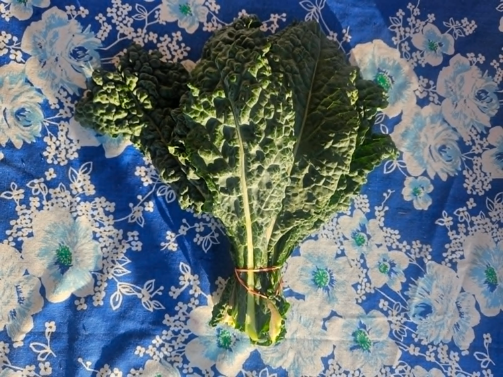 bunch-of-lacinato-kale-2