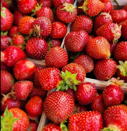 strawberries-1-quart-18