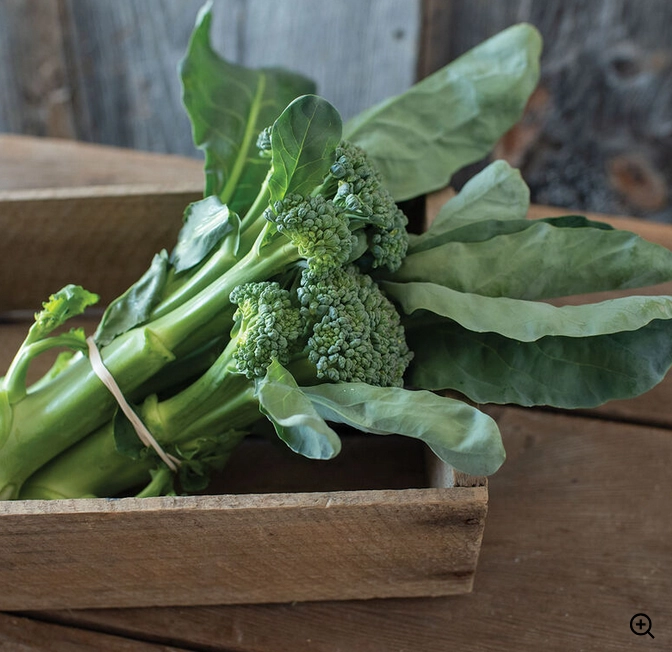bunching-broccoli-1-bunch