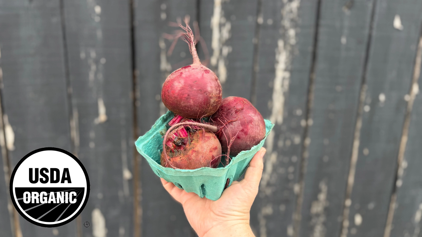 beets-bunched