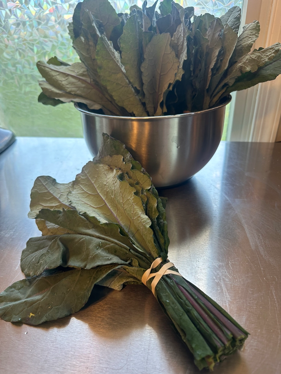kale-bunch-8