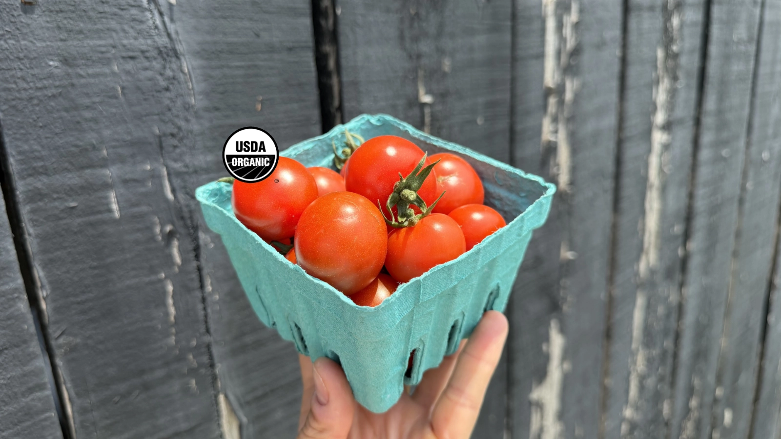 cherry-tomatoes-138