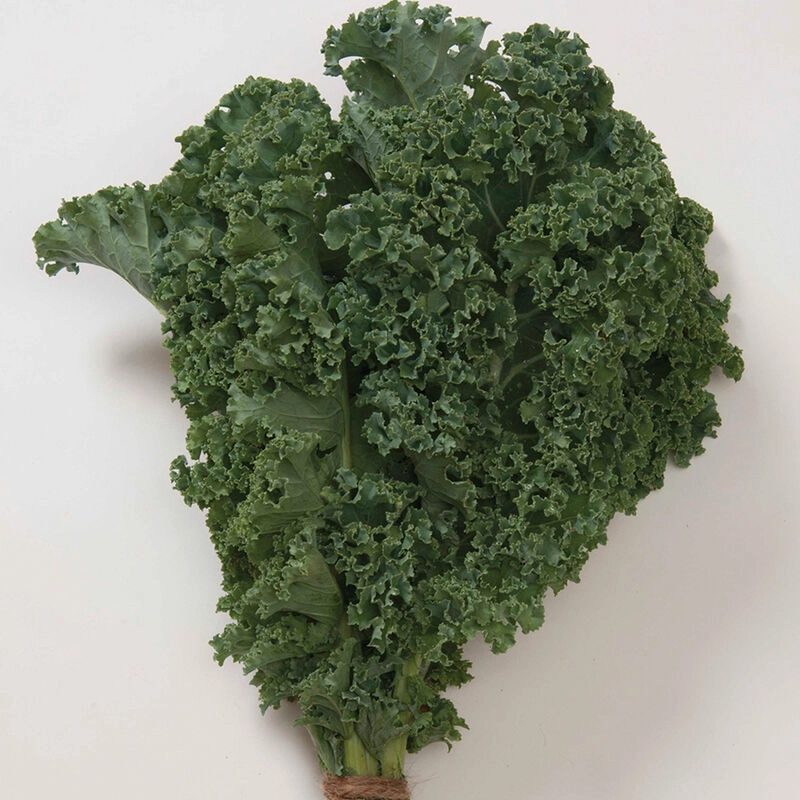 curly-kale-bunch-3