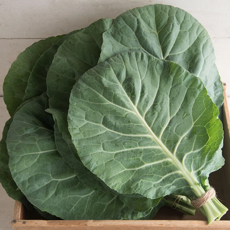 fresh-collards-4