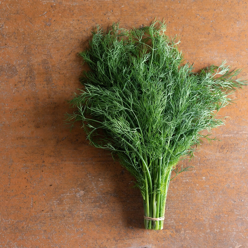 dill-196