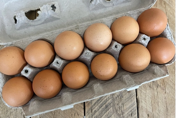 -pasture-raised-chicken-brown-eggs