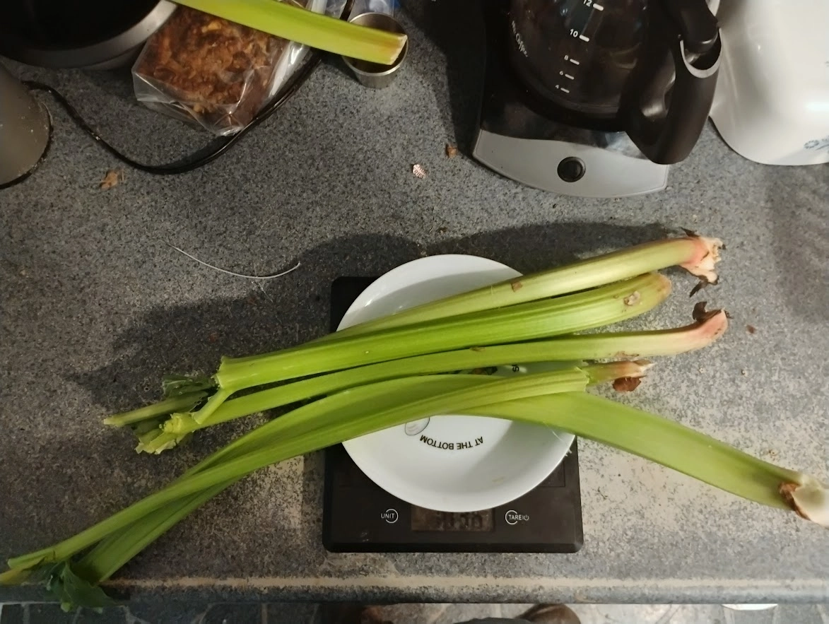 fresh-rhubarb-1-pound