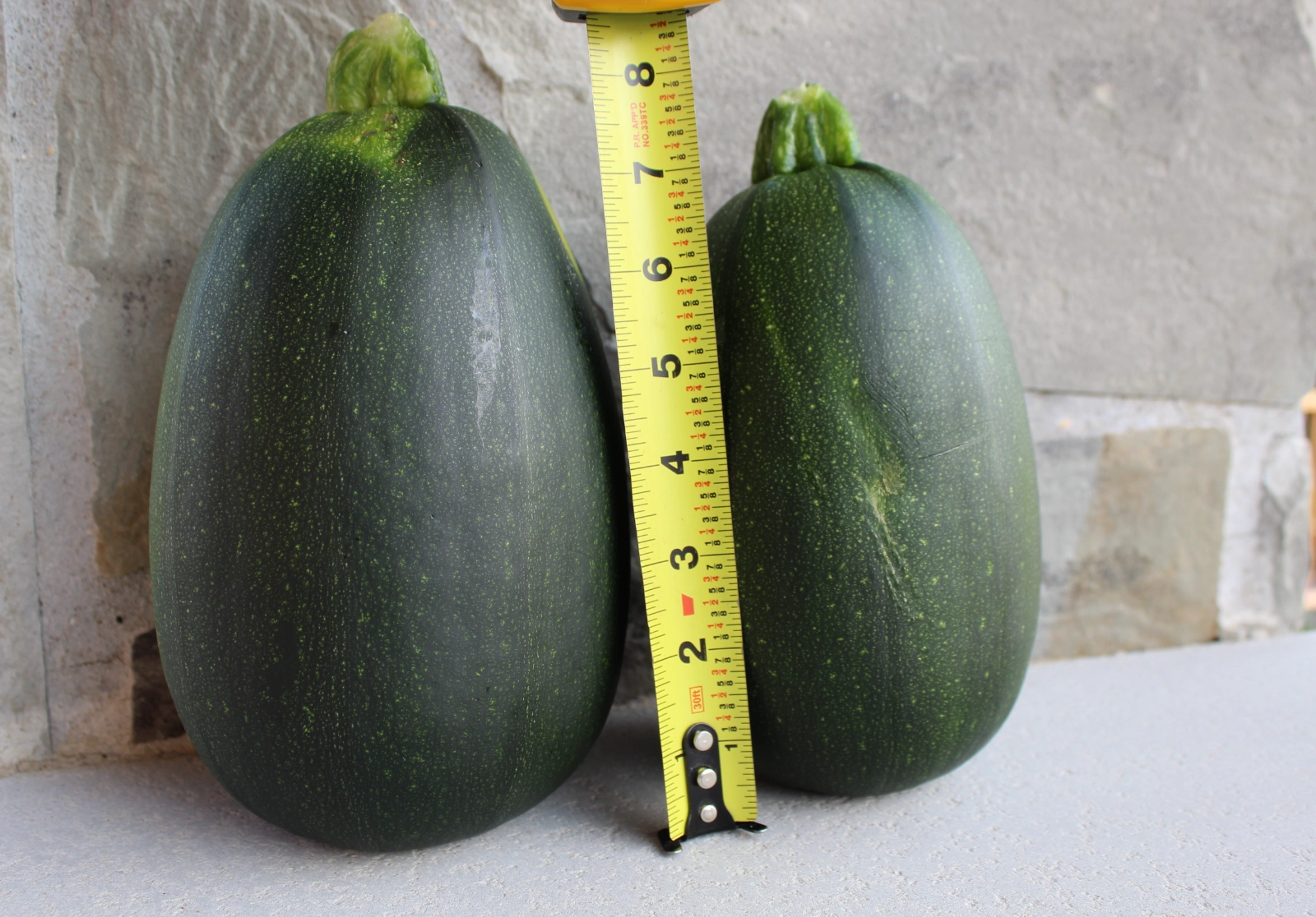 great-griller-zucchini