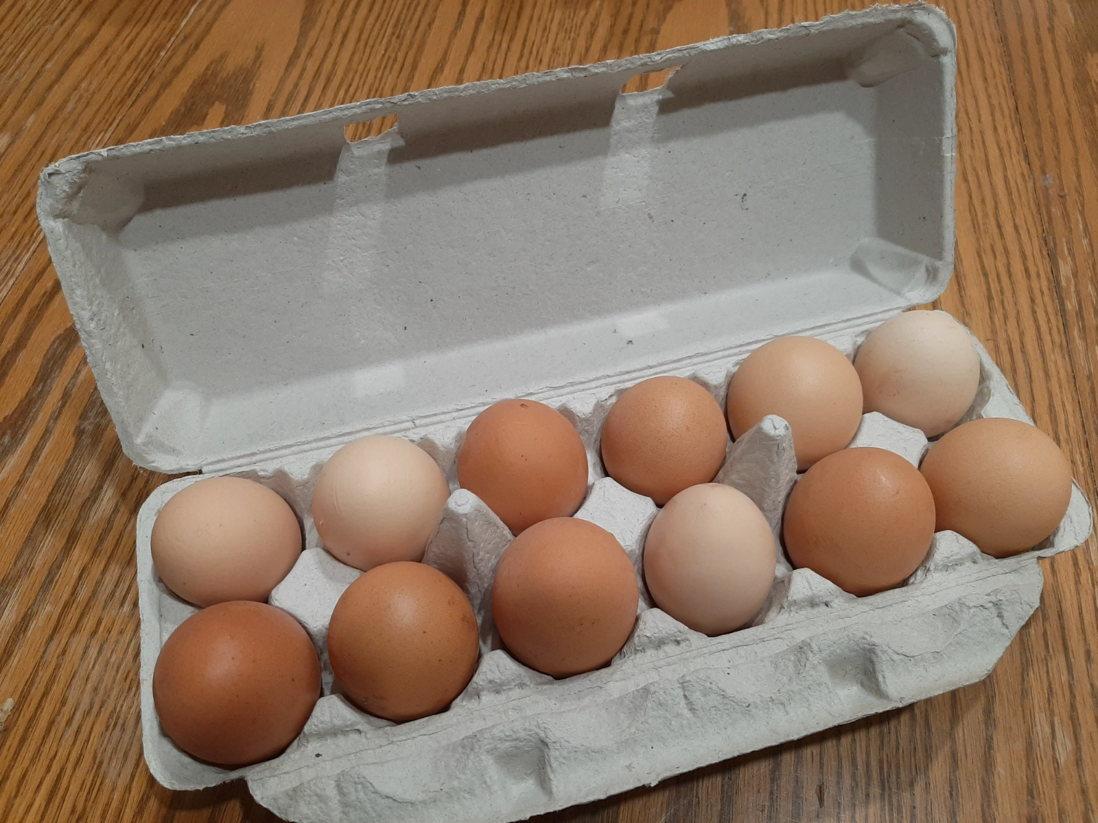 eggs-1-doz-4
