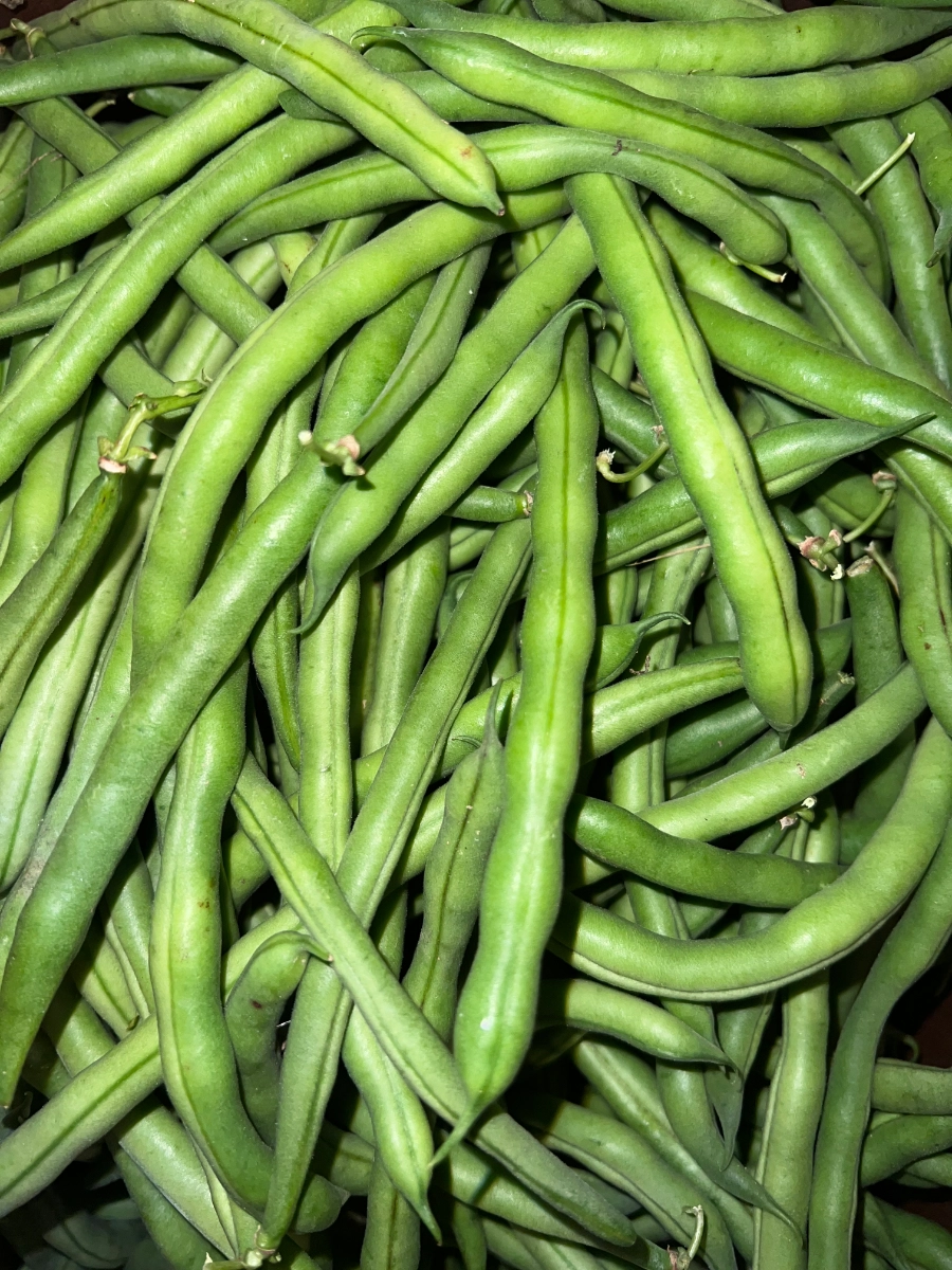 green-beans--3