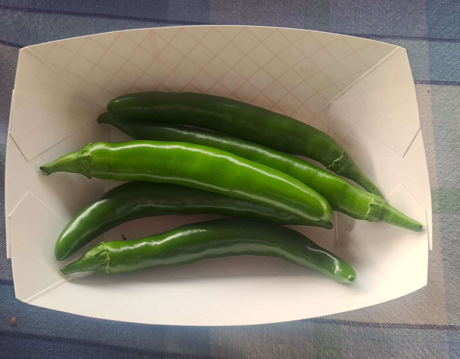 serrano-peppers-17