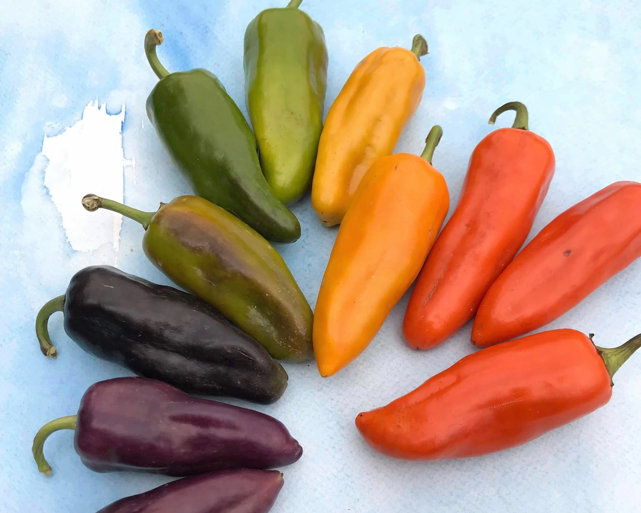 snack-peppers-by-the-pint-or-quart