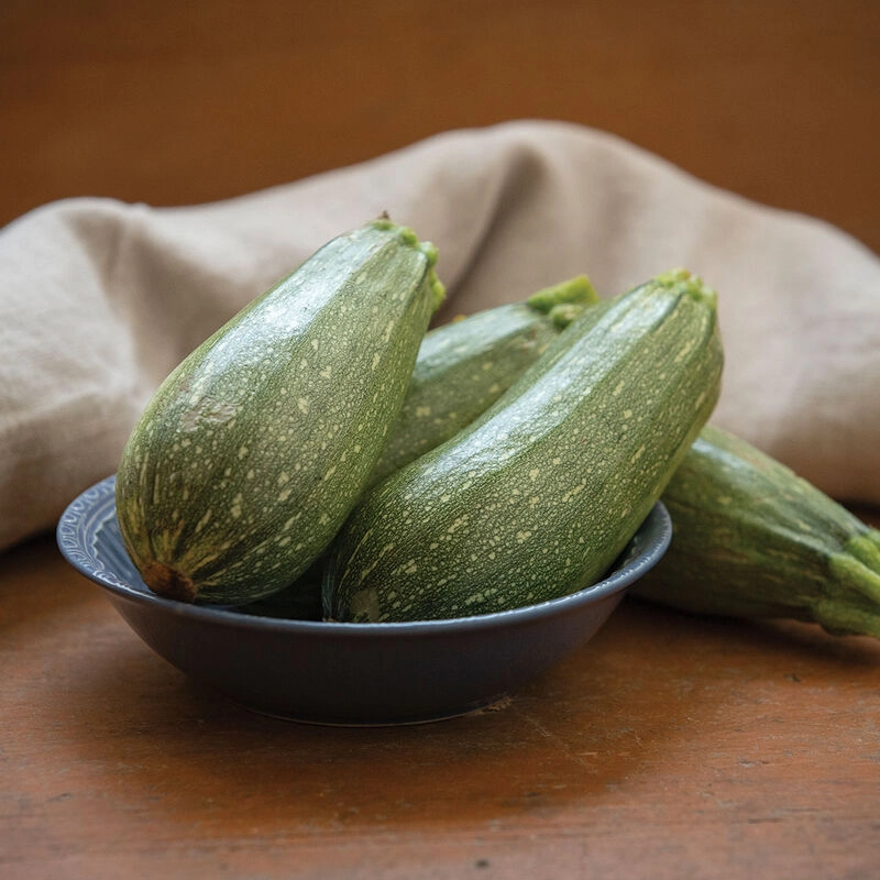 zucchini-certified-organic-4