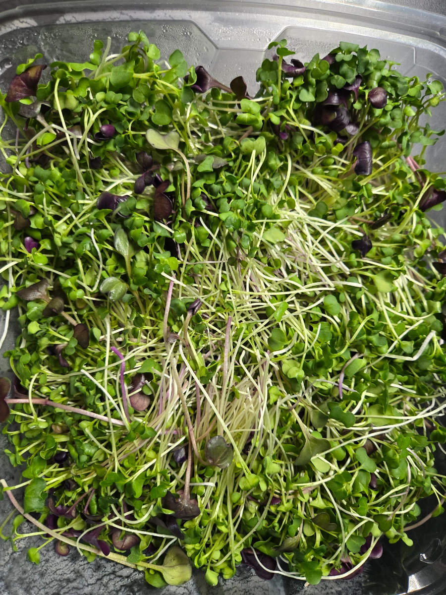 superfood-mix-microgreens-75-oz-clean-grown