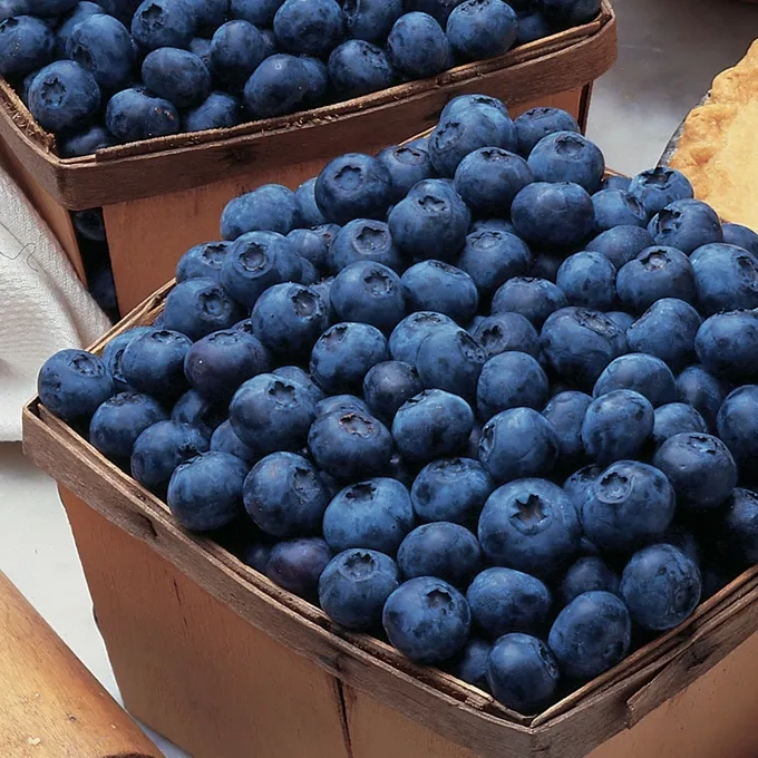 blueberries