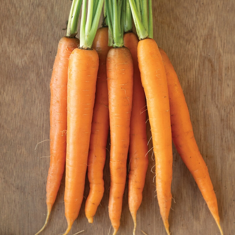 carrots-certified-organic-5