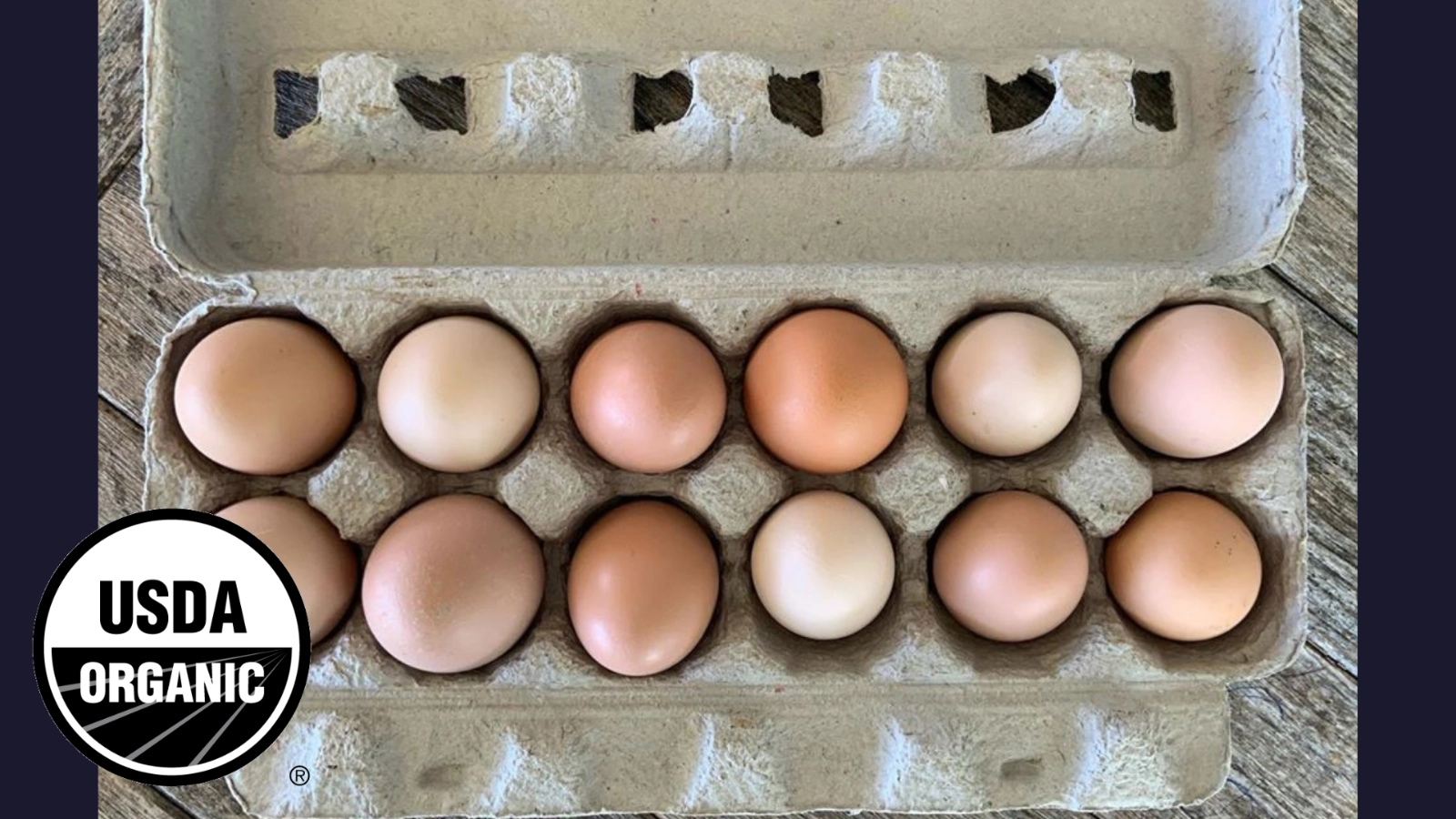 eggs-1-dozen-certified-organic-and-pasture-raised