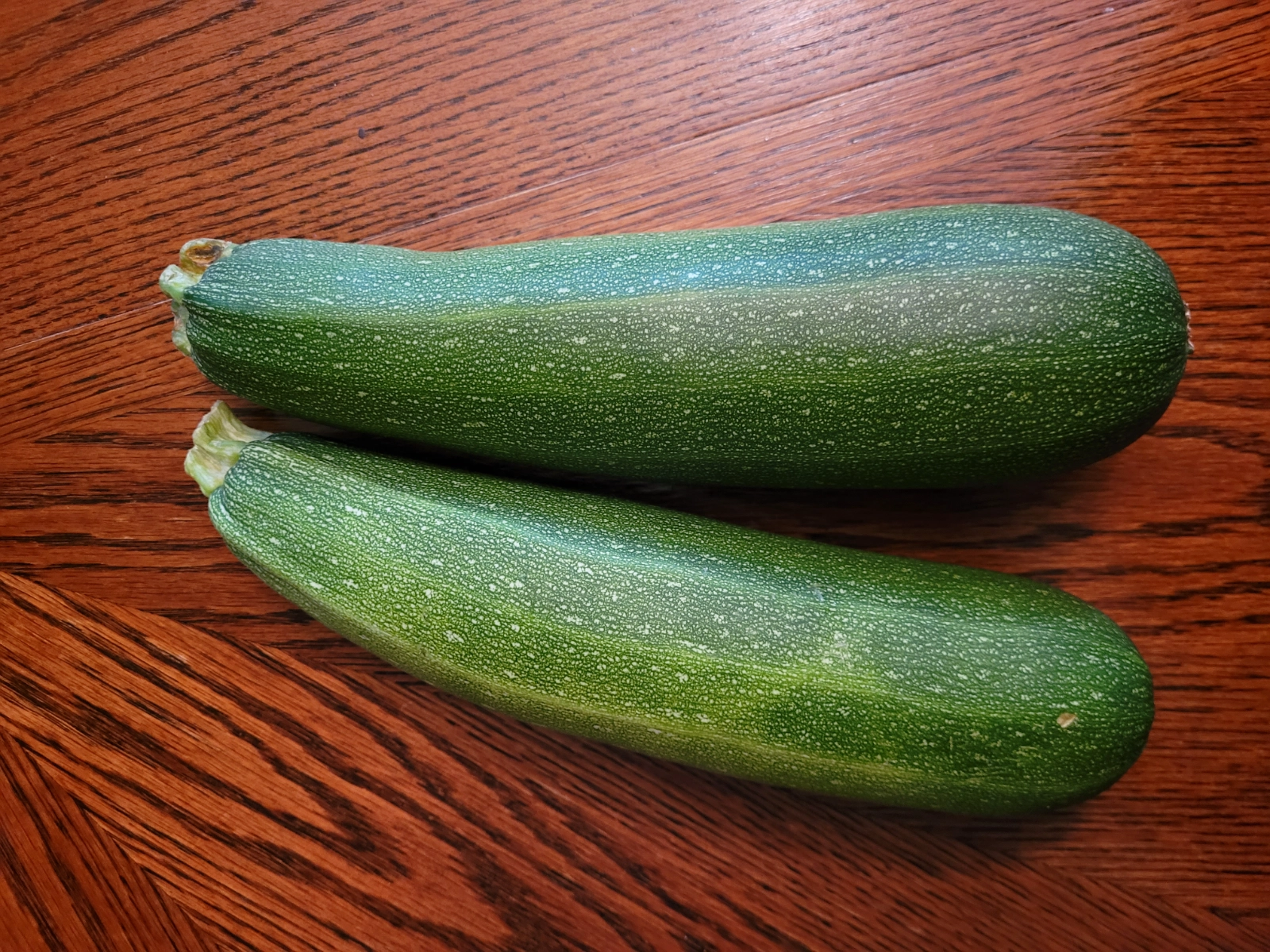 large-garden-fresh-zucchini
