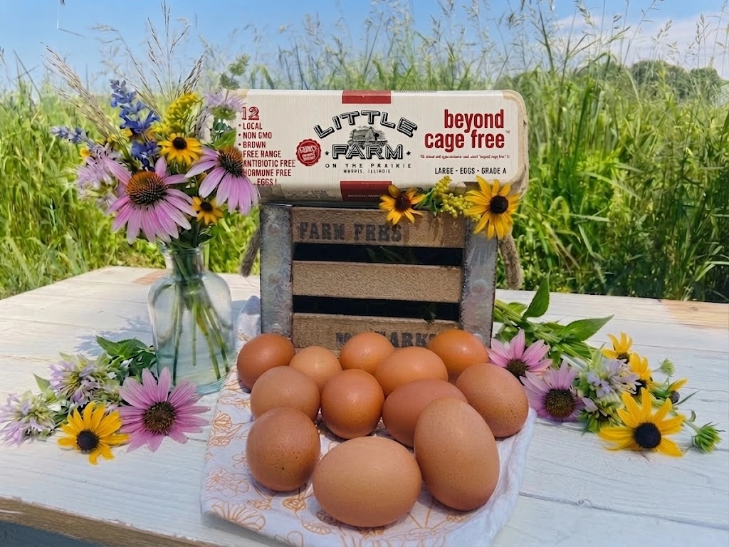 pasture-raised-nongmo-large-brown-eggs-