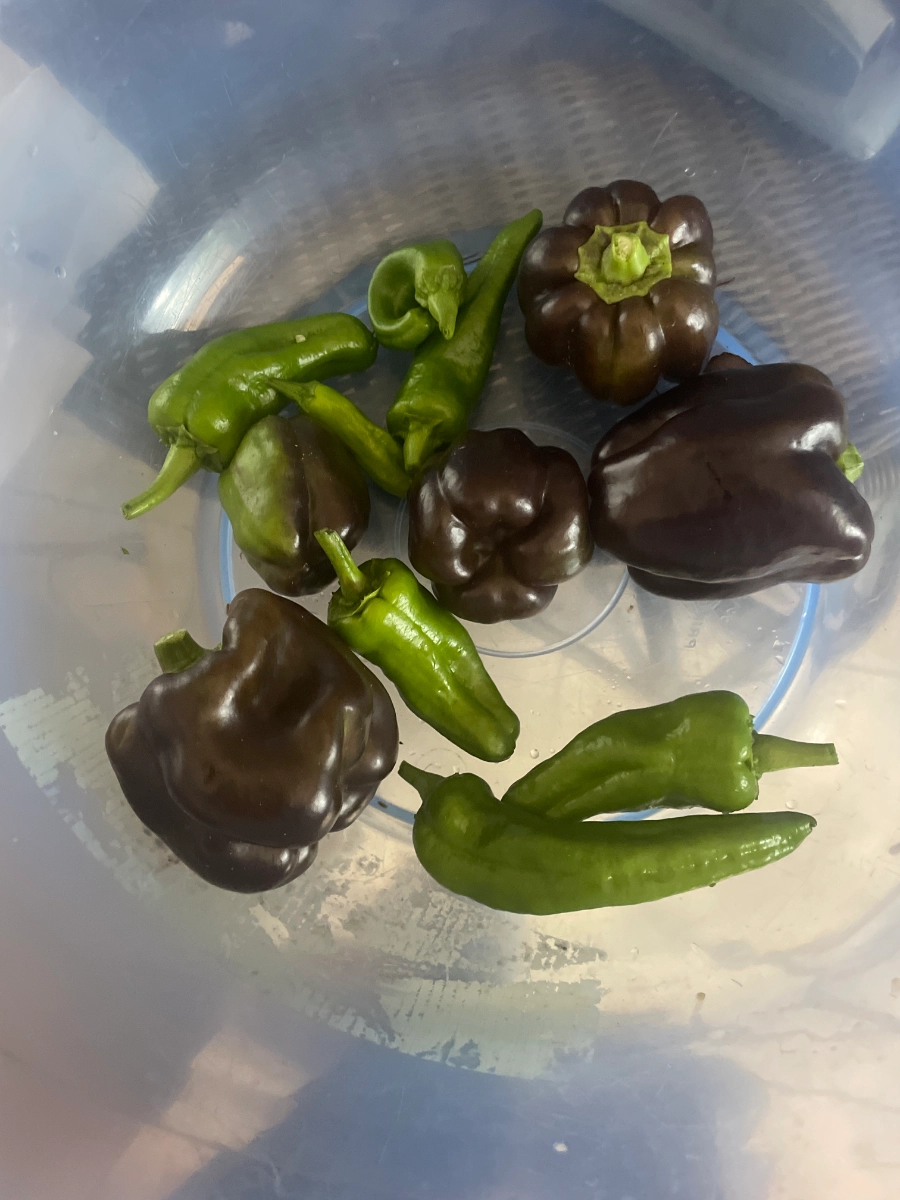 peppy-peppers-2