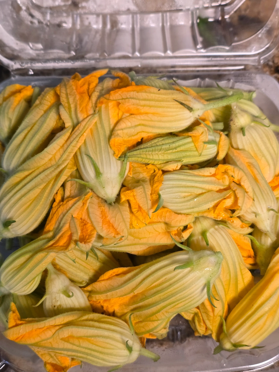 fresh-zucchini-blossoms-market-pack