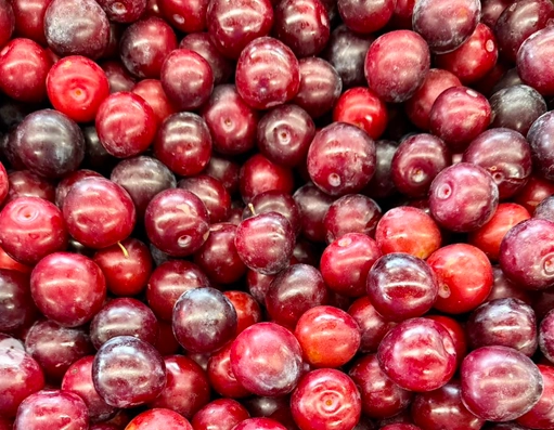 early-magic-plums-1-lb