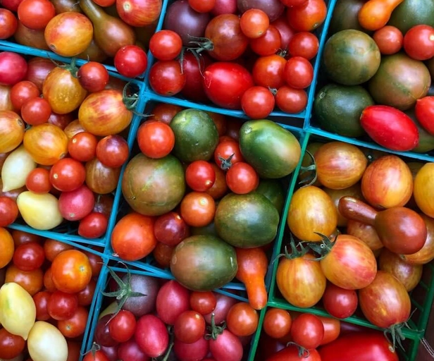 heirloom-cherry-tomatoes-1-pint-2