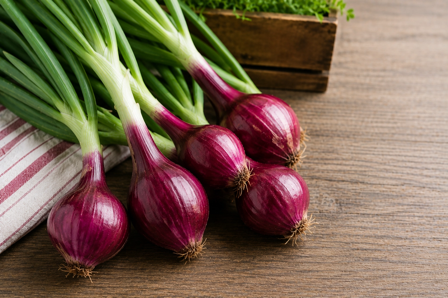 fresh-red-onions-1-bunch